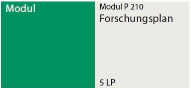 Forschungsplan P210