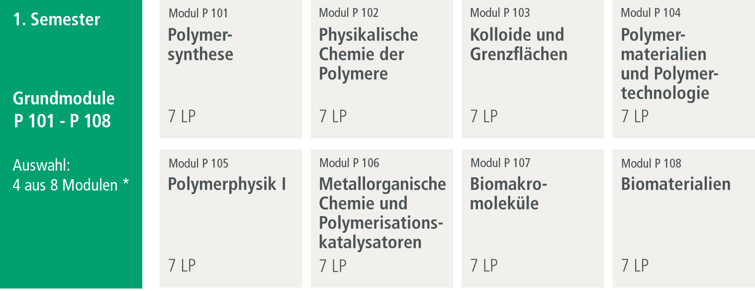 Grundmodule 1. Semester P101-P108